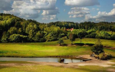 Park Krajobrazowy na Kaszubach – charakterystyka i opis