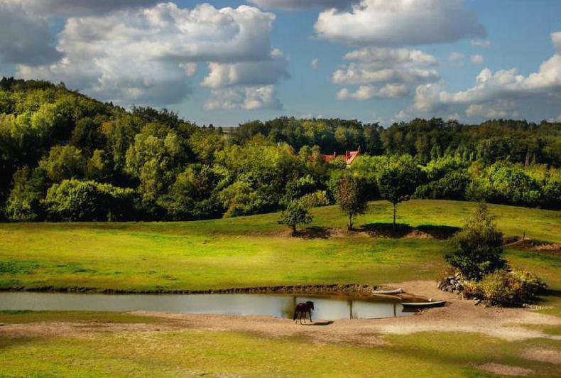 Park Krajobrazowy na Kaszubach – charakterystyka i opis
