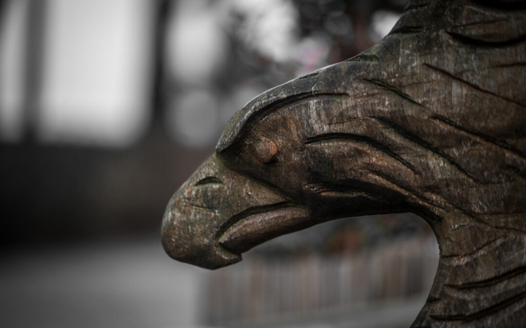 Skrzydła Tożsamości – Tajemnica Kaszubskiego Gryfa