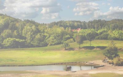 Historia Kaszub: Początki i wczesne dzieje