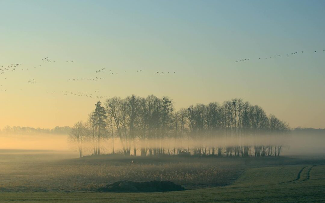 Ostoje Spokoju – Perły Polskich Parków Krajobrazowych