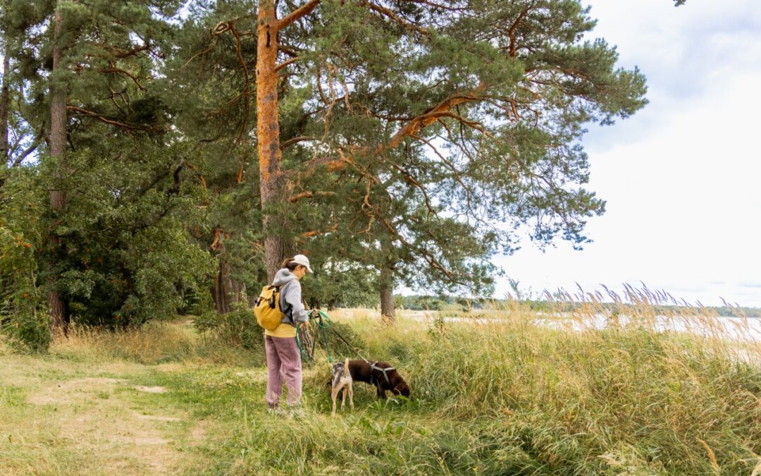 Szlaki piesze na Kaszubach. Trasy przez lasy, jeziora i wzgórza